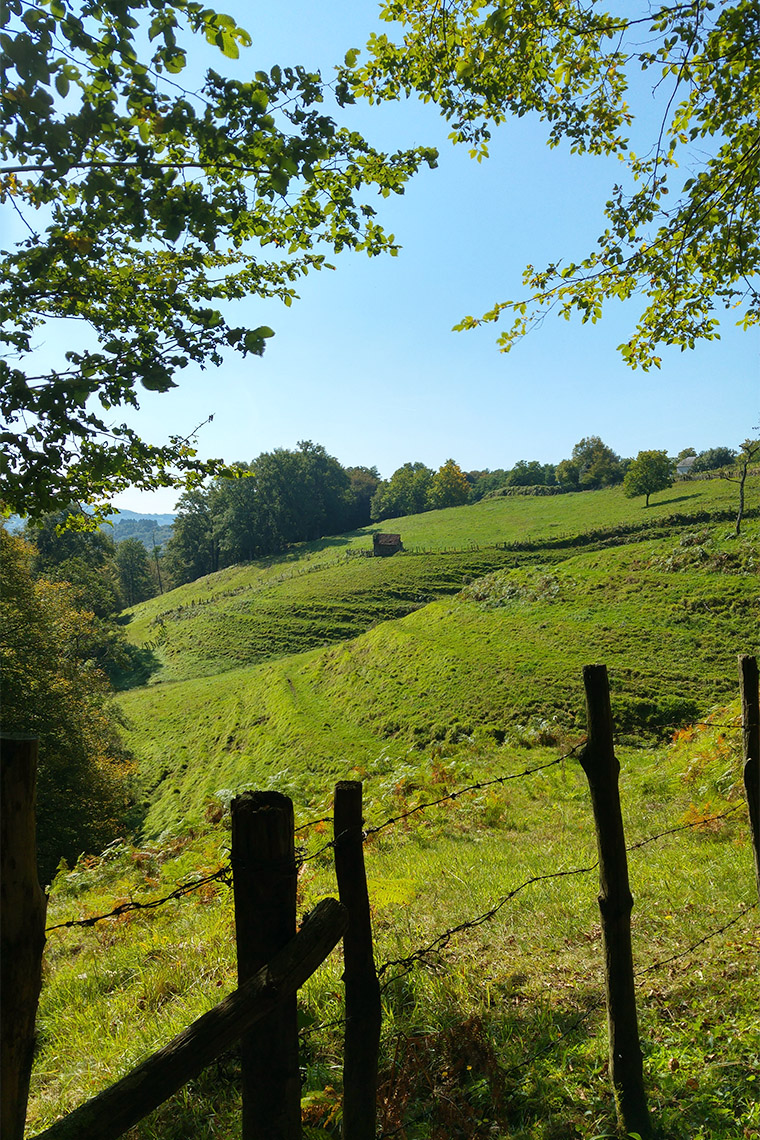 la verdoyante campagne de Corrèze
