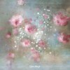 Ciel de fleurs
