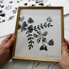 Herbier
