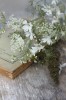 Livre et fleurs des champs